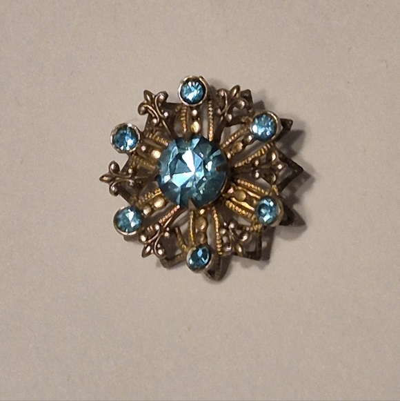 Jewelry - Elegant Blue and Gold Tone Pin